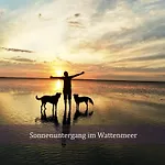 公寓 De Boeoek Wattenmeer & Wohlfuehlen *