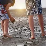 De Boeoek Wattenmeer & Wohlfuehlen * Dorumer Neufeld