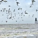 Lägenhet De Boeoek Wattenmeer & Wohlfuehlen Dorumer Neufeld