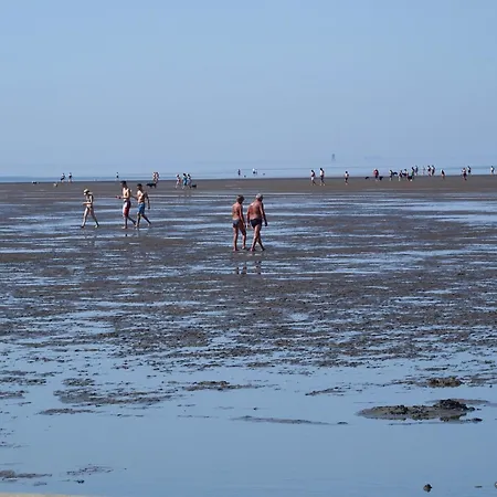 De Boeoek *