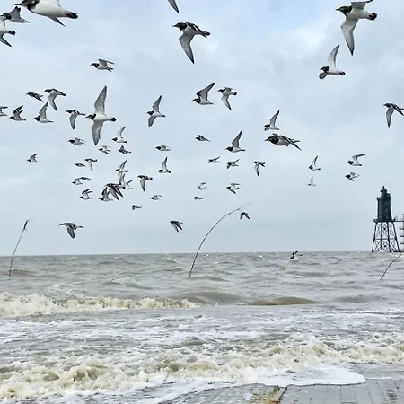 Апартаменты De Boeoek Wattenmeer & Wohlfuehlen Дорум-Нойфельд