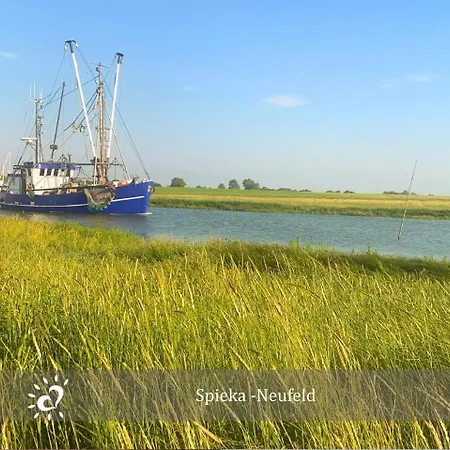 De Boeoek Wattenmeer & Wohlfuehlen Апартаменты