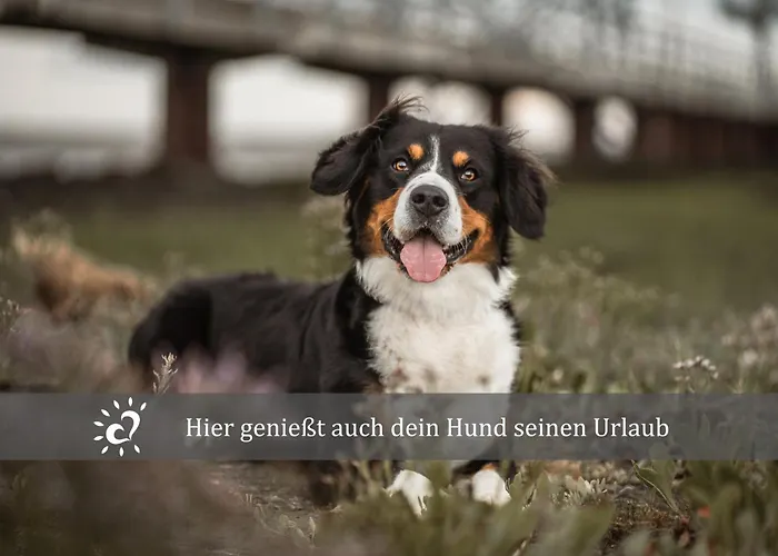 アパート De Boeoek Wattenmeer & Wohlfuehlen *