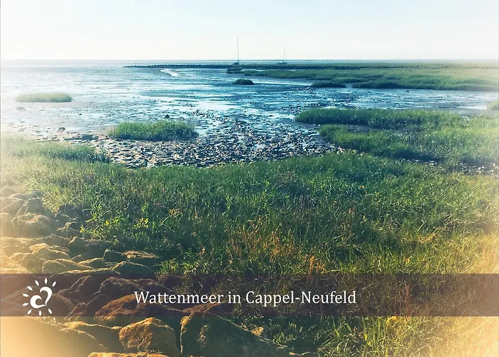 De Boeoek Wattenmeer & Wohlfuehlen アパート *